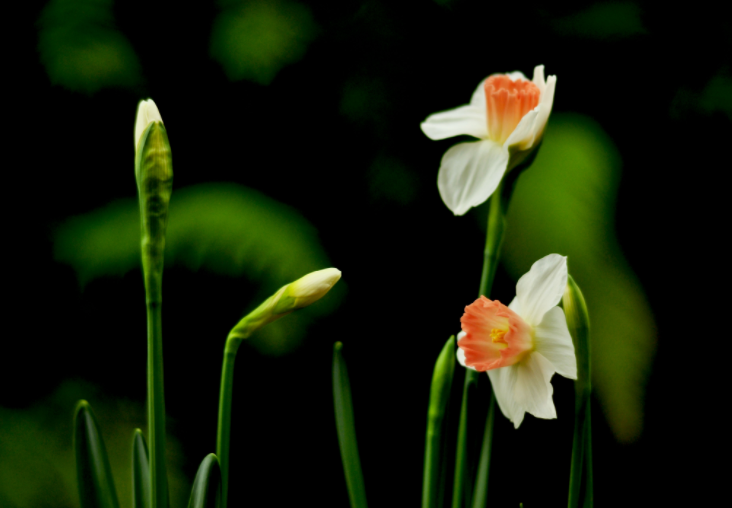 各人都做生态文明建设的实践者、、推动者（生态论苑）